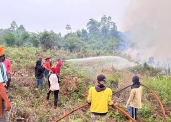 Asap Karhutla Mulai Ganggu Kualitas Udara, Dishut Imbau Warga Waspada