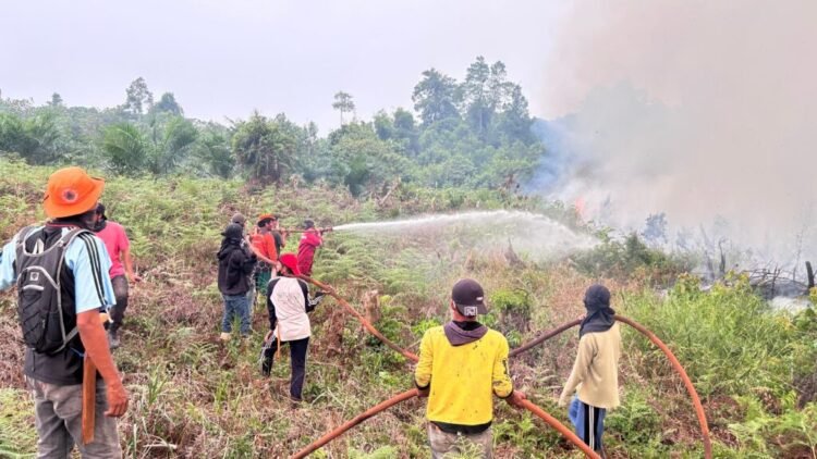 Asap Karhutla Mulai Ganggu Kualitas Udara, Dishut Imbau Warga Waspada