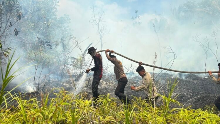 Ditsamapta Polda Kaltara Quick Response Tangani Titik Api Baru di Lahan 11,5 Hektare