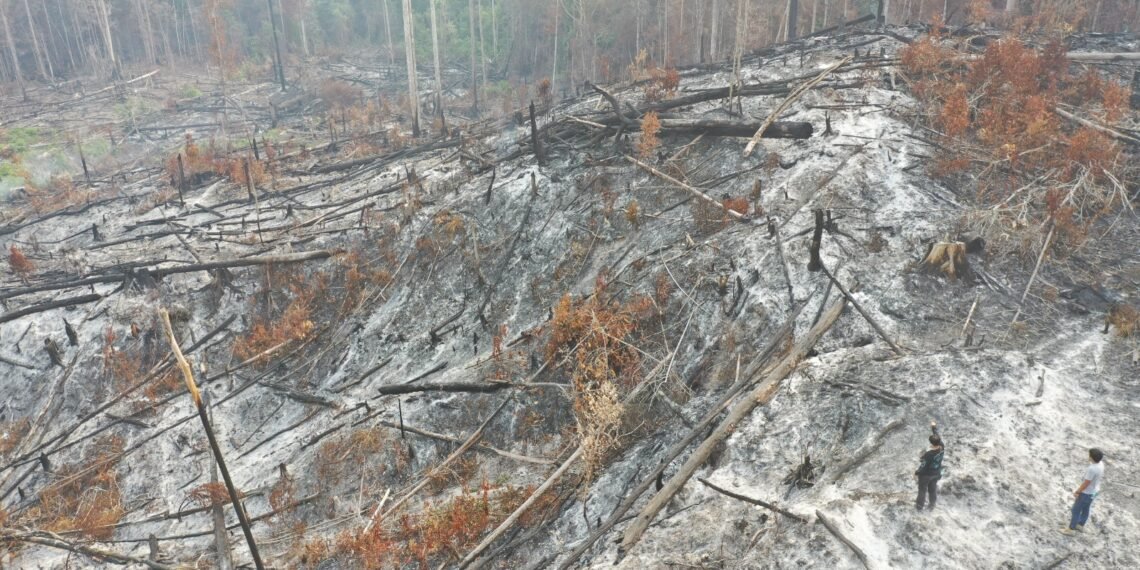 Subdit Tipidter Polda Kaltara Selidiki Dugaan Tindak Pidana Karhutla di Wilayah Bulungan