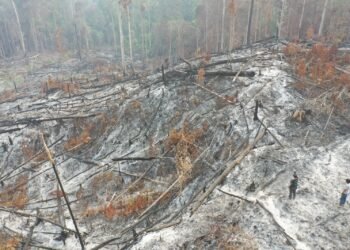 Subdit Tipidter Polda Kaltara Selidiki Dugaan Tindak Pidana Karhutla di Wilayah Bulungan