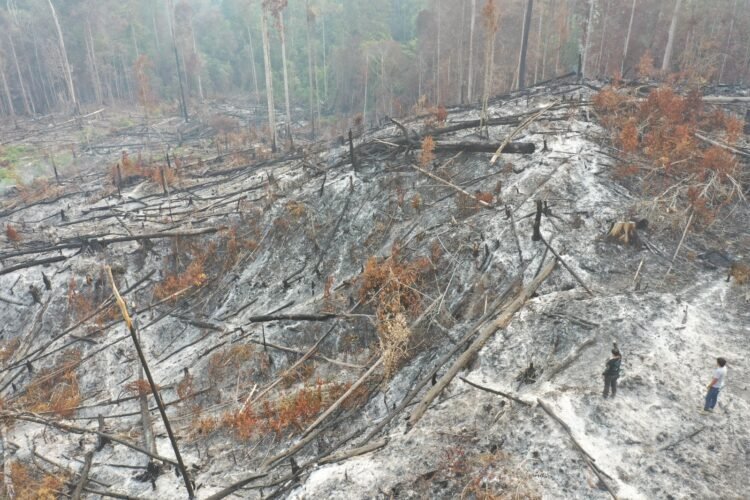 Subdit Tipidter Polda Kaltara Selidiki Dugaan Tindak Pidana Karhutla di Wilayah Bulungan